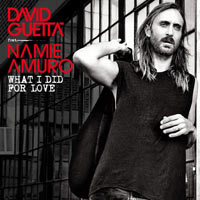 David Guetta feat. Namie Amuro - What I Did For Love